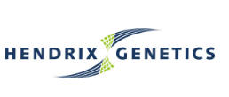 Logo Hendrix Genetics  Boxmeer